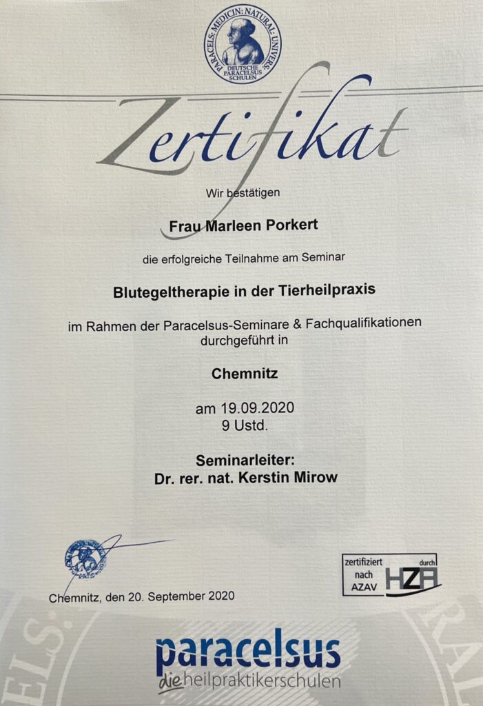 Blutegeltherapie